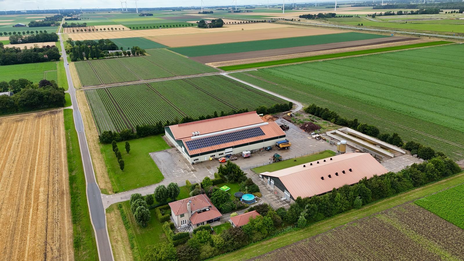 Luchtfoto van het nieuwe erf met loods en kalverstal